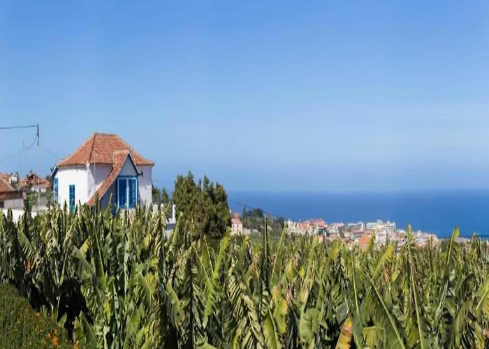 Prázdninový dům Cave House In Tenerife With Pool And